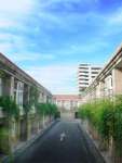 放大圖片