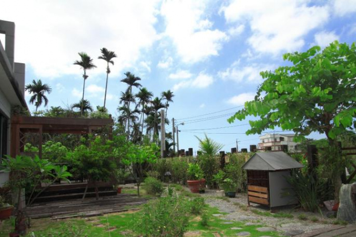 Image Alt